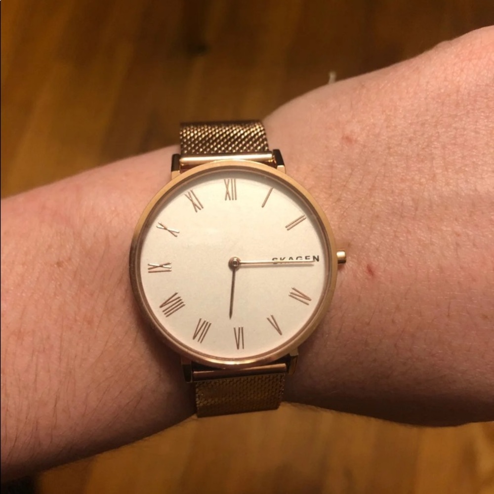 Skagen Mesh Watch- NWT